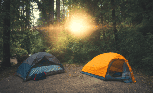 two tents in the forest