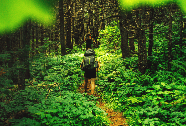 backing through the woods