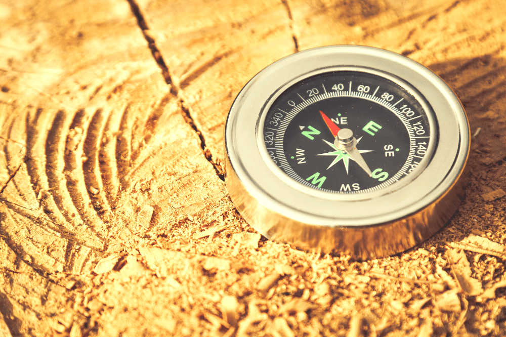small compass resting on a tree stump