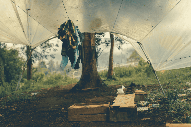 tarp