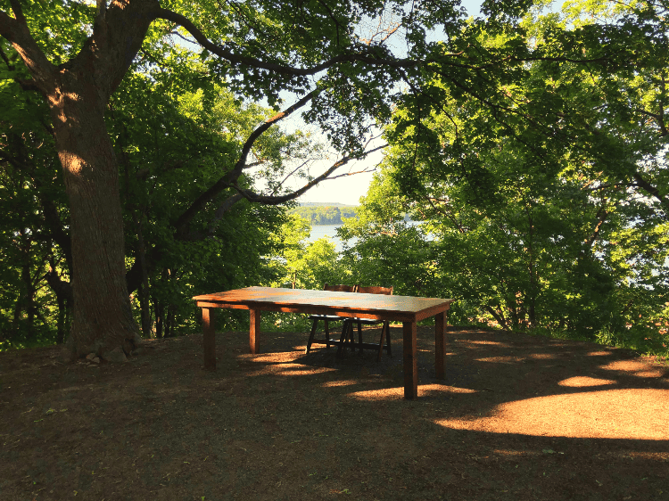 wood table in the forest