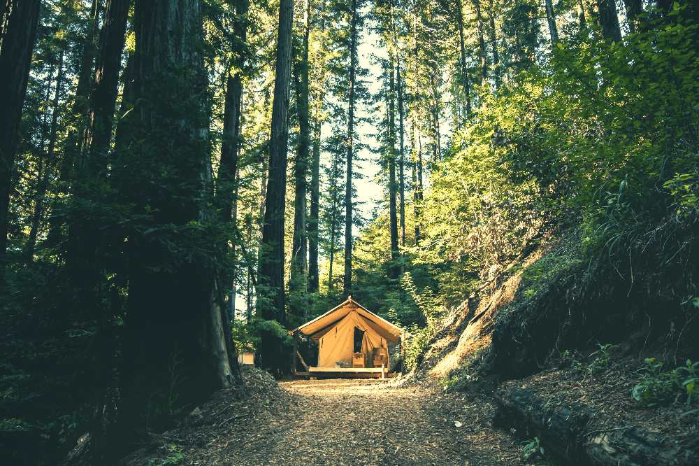 glamping tent in the forest
