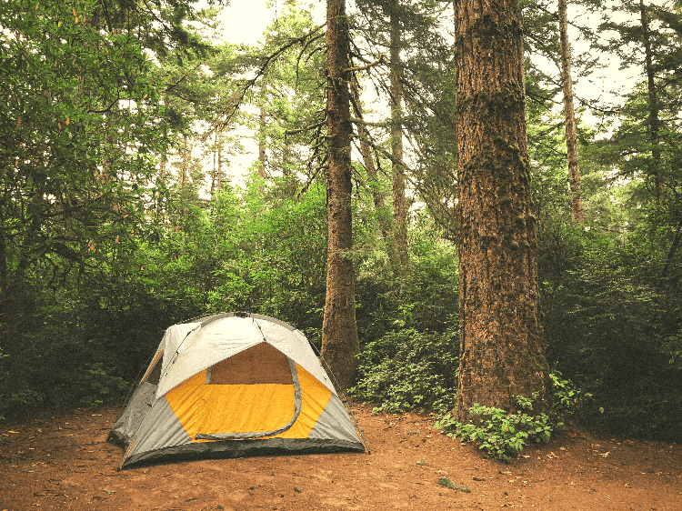 yellow tent in a forest