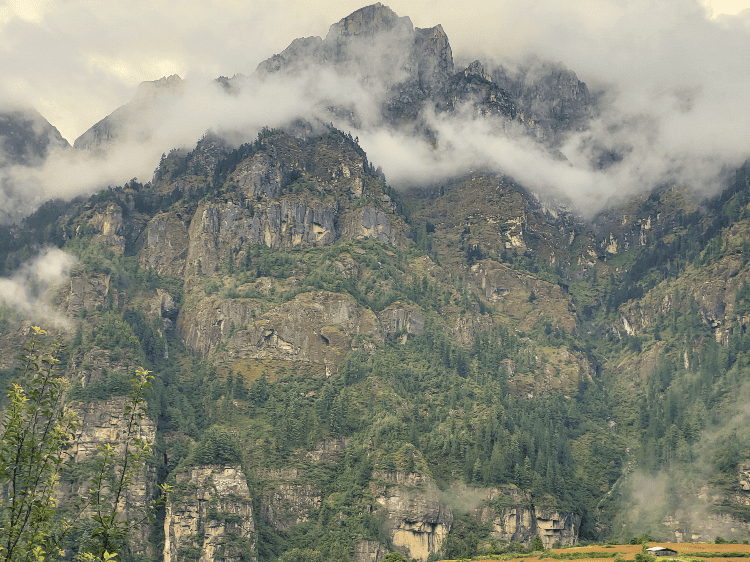 mountain covered in fog