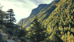 green mountains himalayas