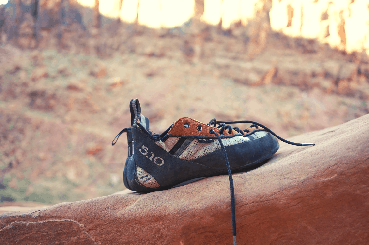 climbing shoe on a rock