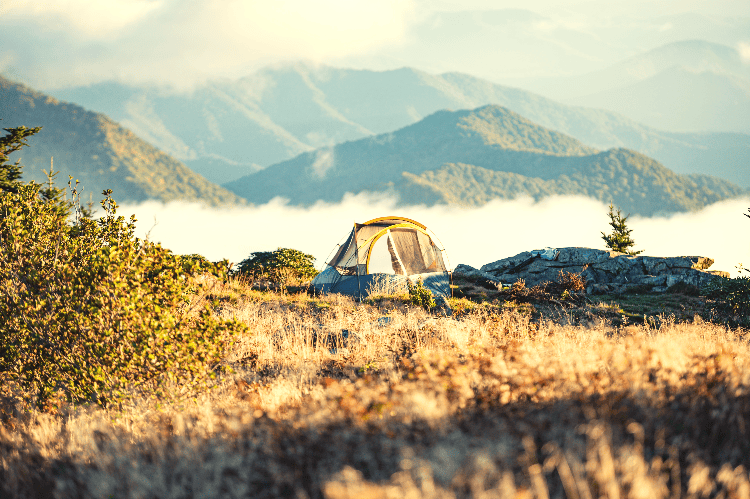 single tent for camping alone in nature
