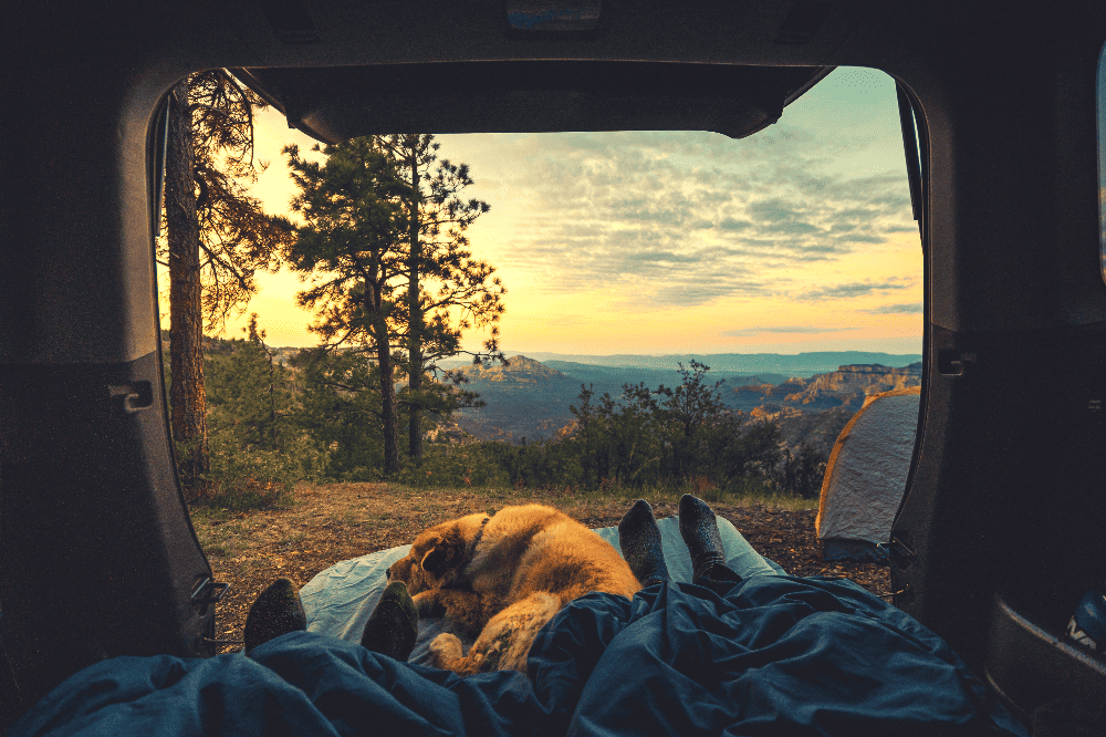 two people sleeping in their car out in nature
