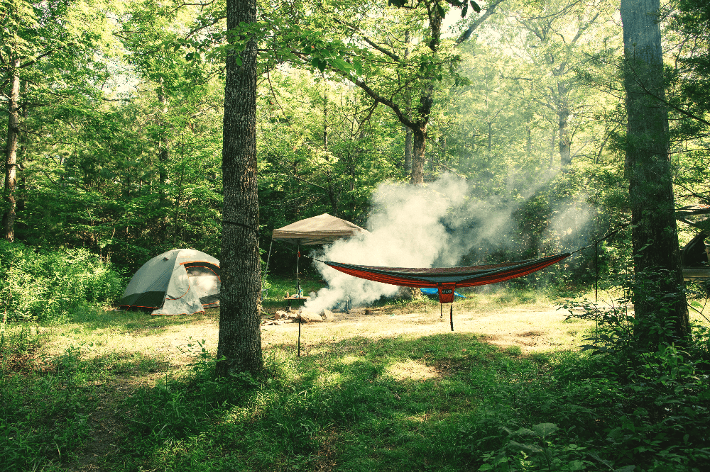 tent and hammock in the wild