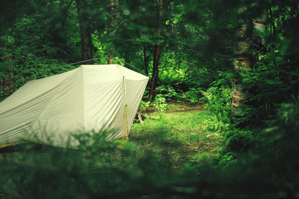 tent in the middle of the woods