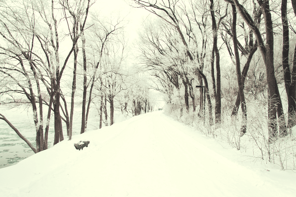 a snow covered path next to a body of water in the winter