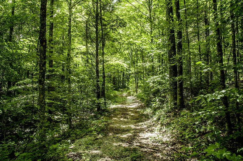 hoosier state park indiana