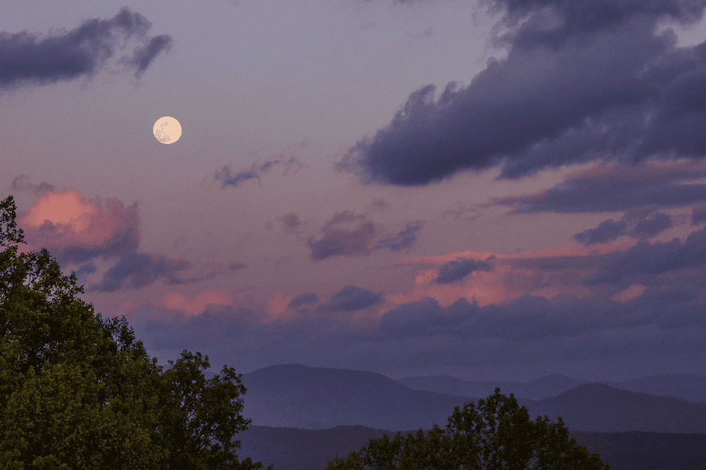 cohutta georgia