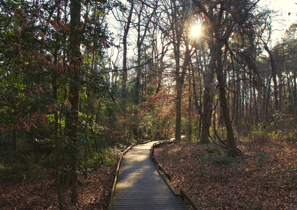 congaree south carolina