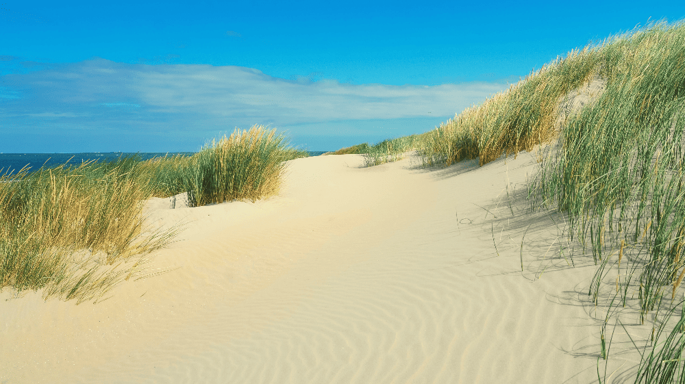 dunes in deleware