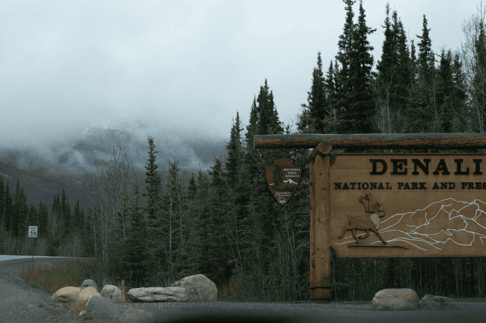 denali national park alaska