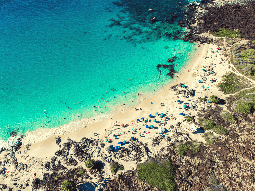 aerial view of a beach and ocean