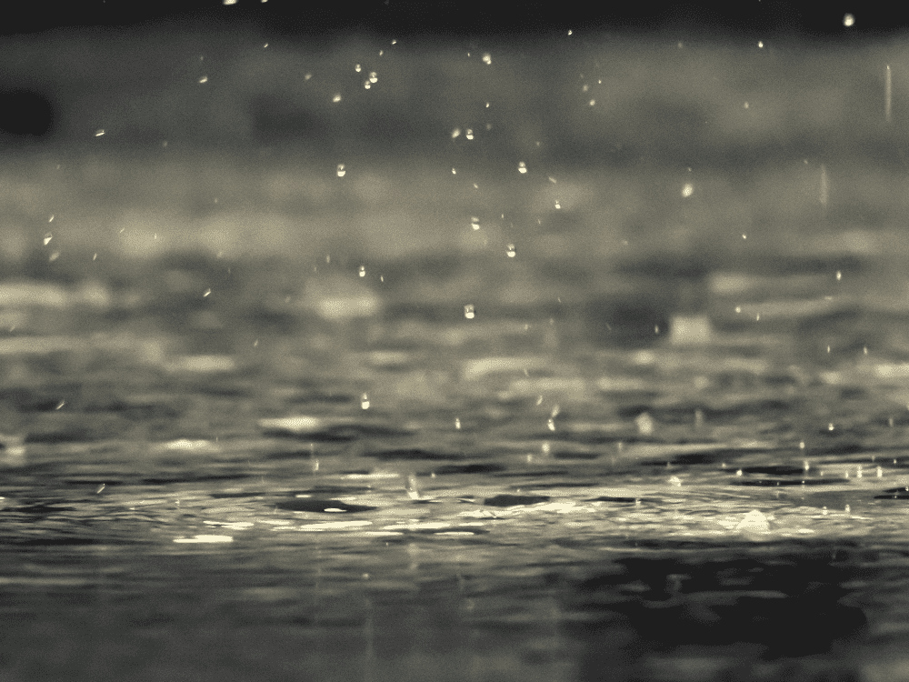 raindrops falling on a puddle