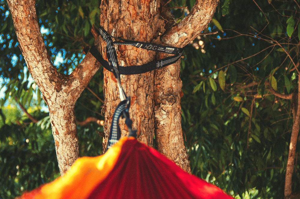 hammock straps around a tree