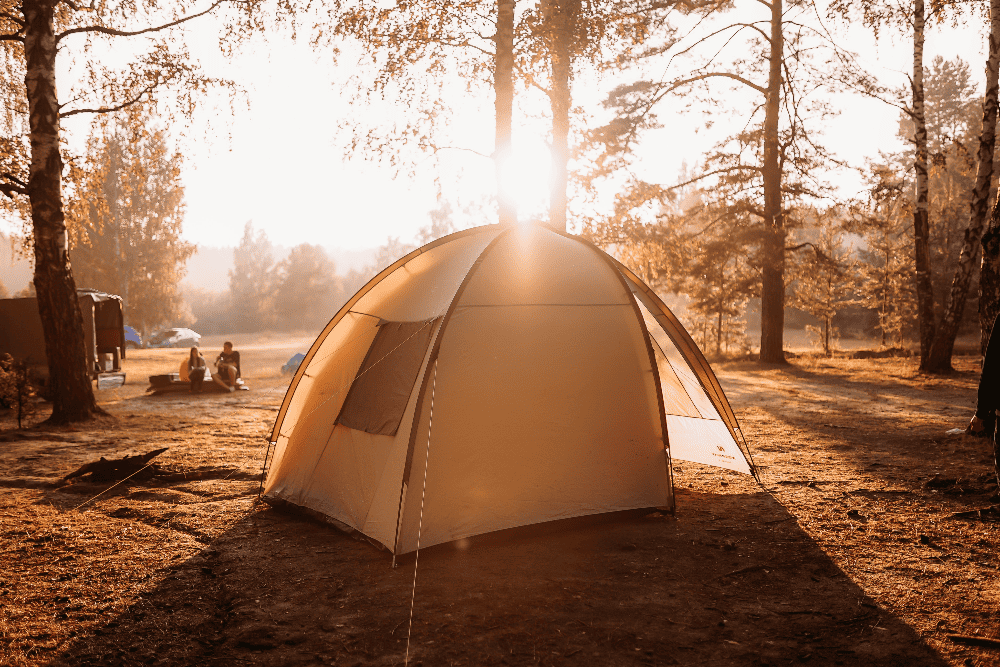 4 person tent on the ground next to trees and the sunset