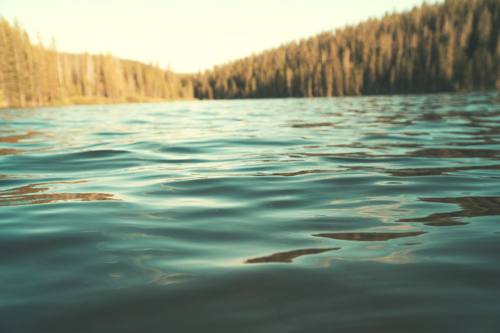 pretty water from a lake in wyoming