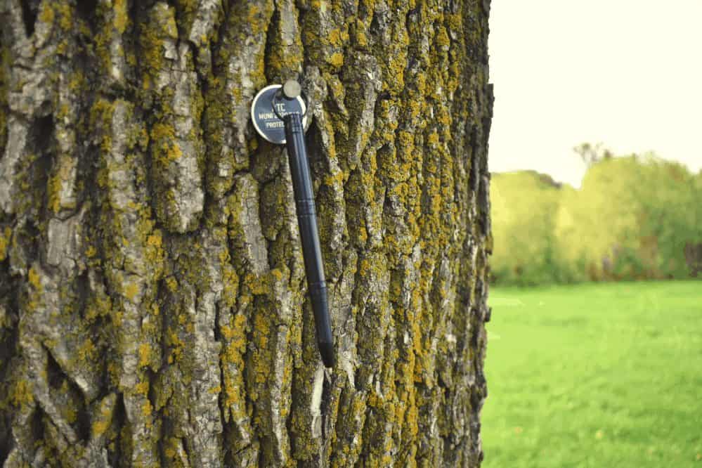pen hanging from a nail in a tree in a park