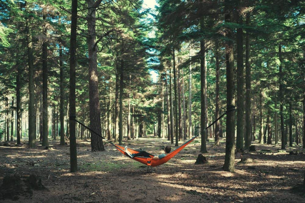 man lying in a hammock between two trees in a forest