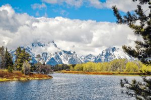grand teton mountains next to a lake in wyoming