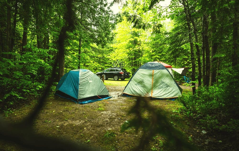 two tents pitched in a forest next to a truck and bike rack