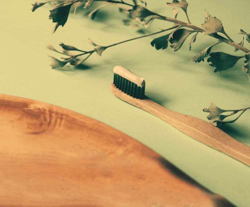 toothbrush on the counter with toothpaste next to a branch