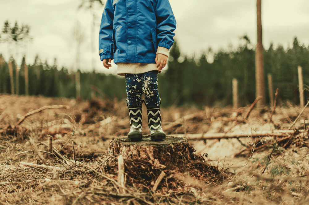 young child standing on a tree stump while wearing a blue rain jacket