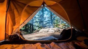inside of a tent with trees on the outside