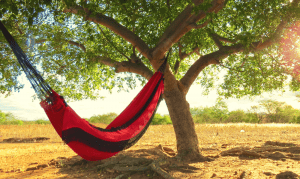 red hammock hanging on a tree in the sahara