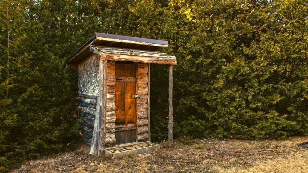 wooden outhouse next to a wall of trees