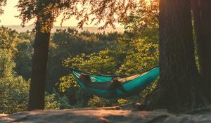 person lying in a teal hammock in a forest