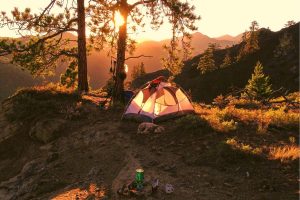 tent pitched on a grassy knoll next to a tree at sunset