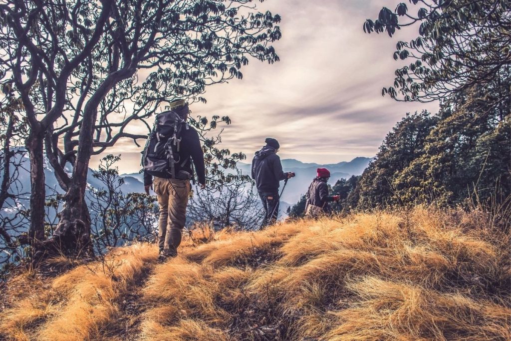three people hiking on a trail with yellow grass and trees