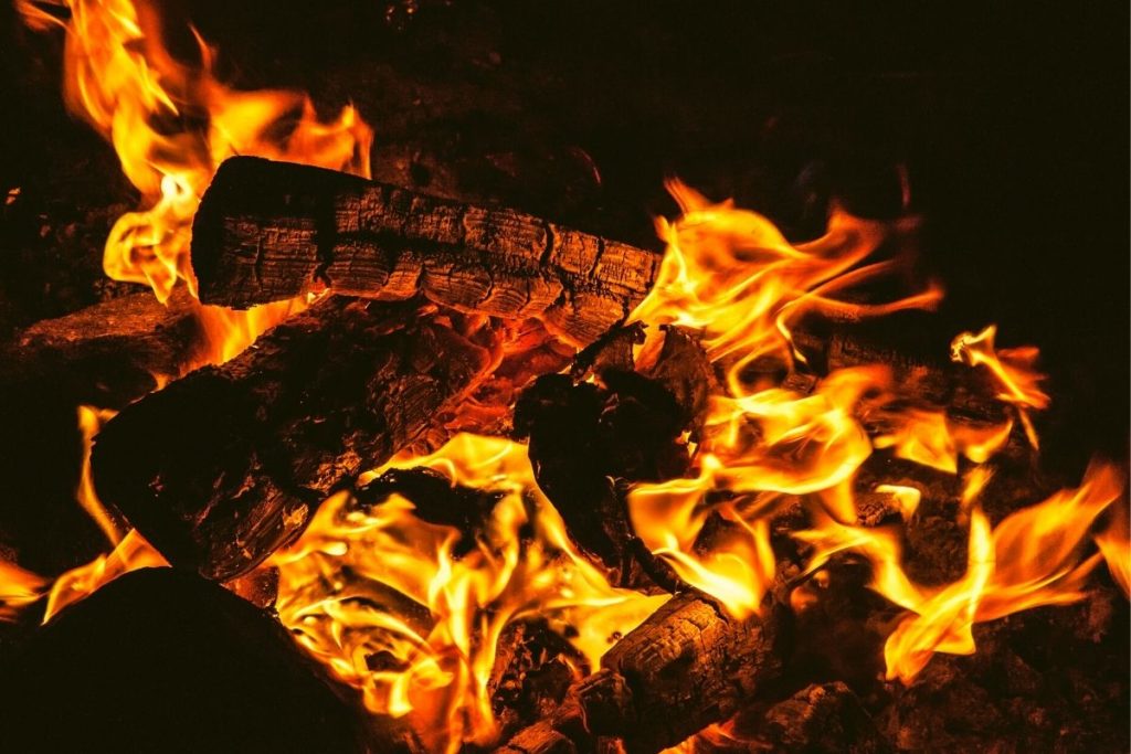 orange flame eating up a few wood logs