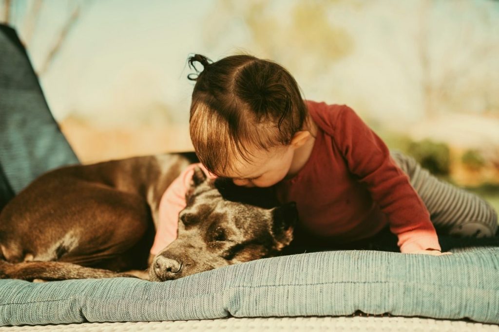young child lying next to a dog outside