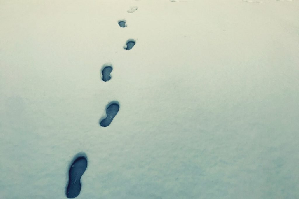 a set of footprints in the snow