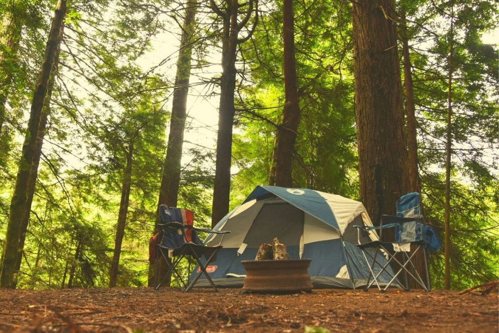 blue and white tent with chairs in a forest