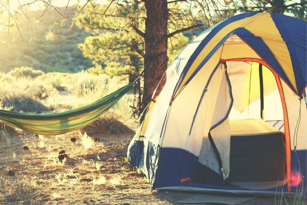 white and blue tent next to a green hammock