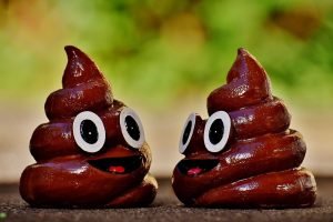 two pieces of poop looking at each other
