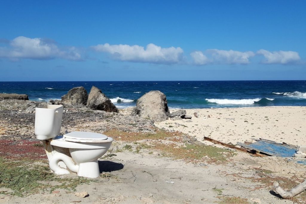 toilet sitting on a beach by the ocean