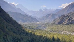mountains and pine forest in nepal
