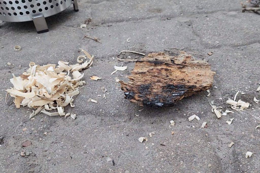 piece of wood bark next to wood shavings