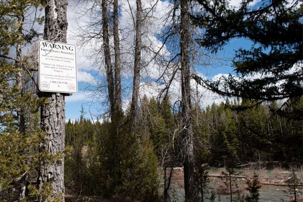 sign on tree in forest by river