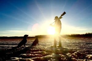 man with gun and two dogs at sunrise in snow