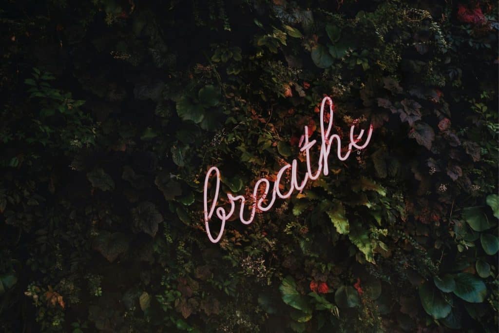 breathe sign on leaves