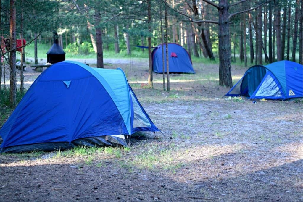 blue tents pitched at a campground with trees